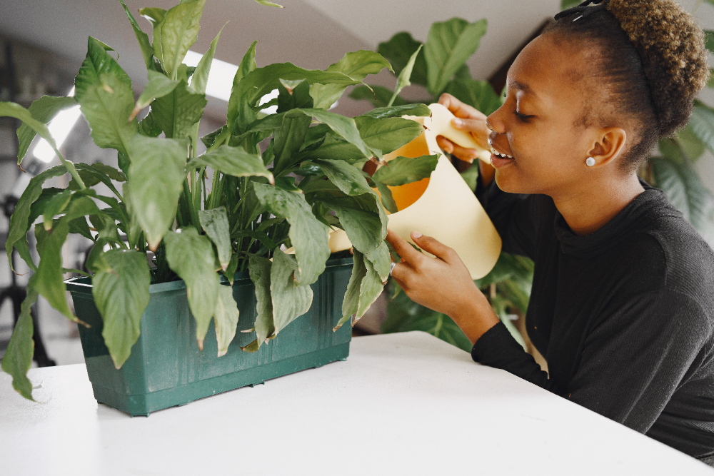 Ballonnements : ces plantes qui soulagent…