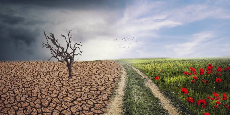 Dérèglement climatique : une crise mondiale qui nécessite des actions communes