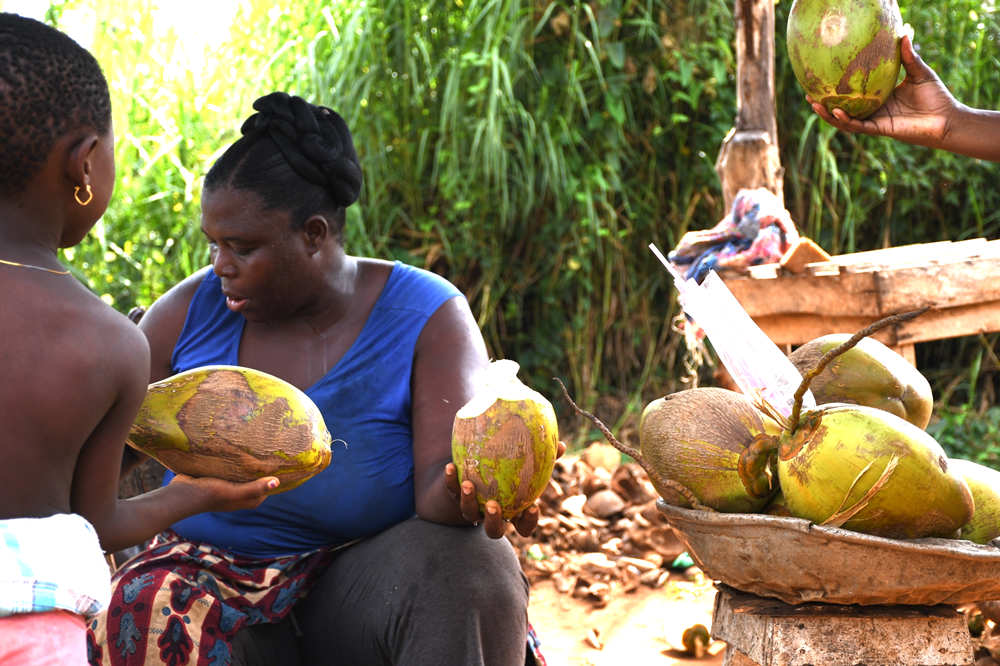 L’eau de coco, une boisson idéale !